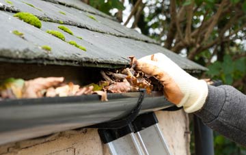 gutter cleaning Glendoick, Perth And Kinross