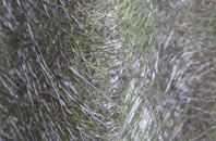 Glendoick fibreglass roof work